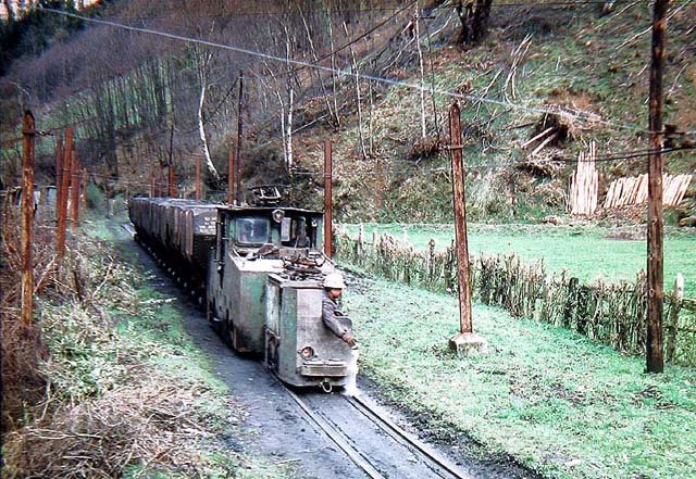 Cerezal.jpg (139.46 KiB) Visto 15123 veces Cerezal.jpg